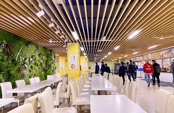  揭开成都高三复读学校的神秘面纱：如何选择最适合的你？